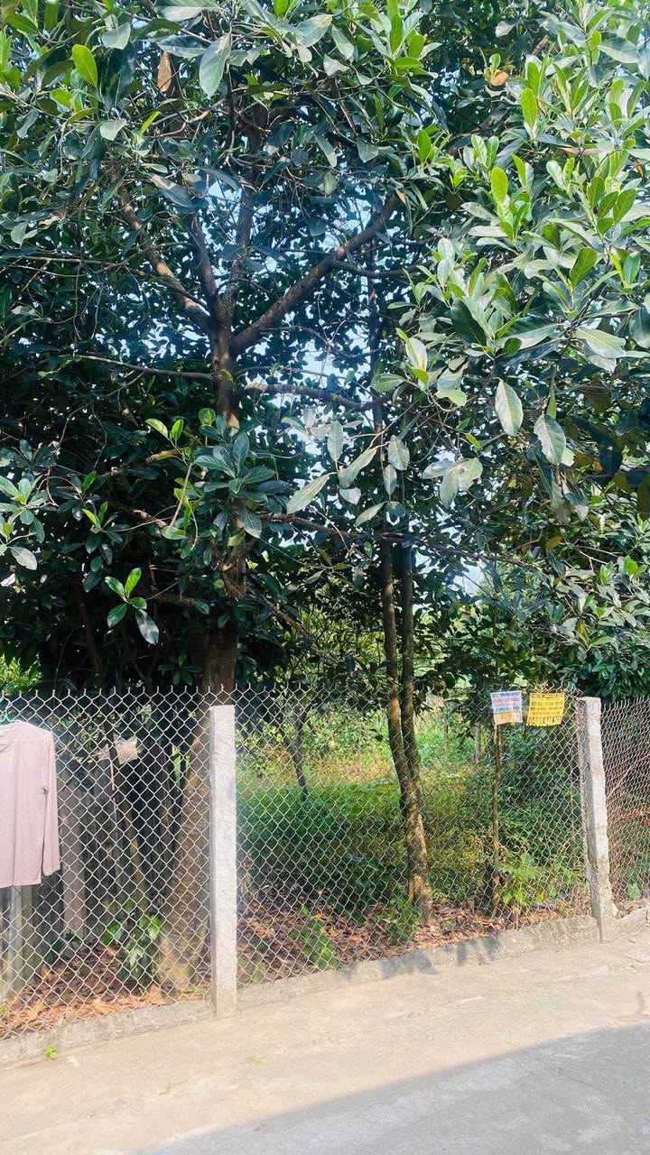 Lô đất thổ cư Kim Phú 126m² giá 1.3 tỷ - Đầu tư sinh lời ngay!