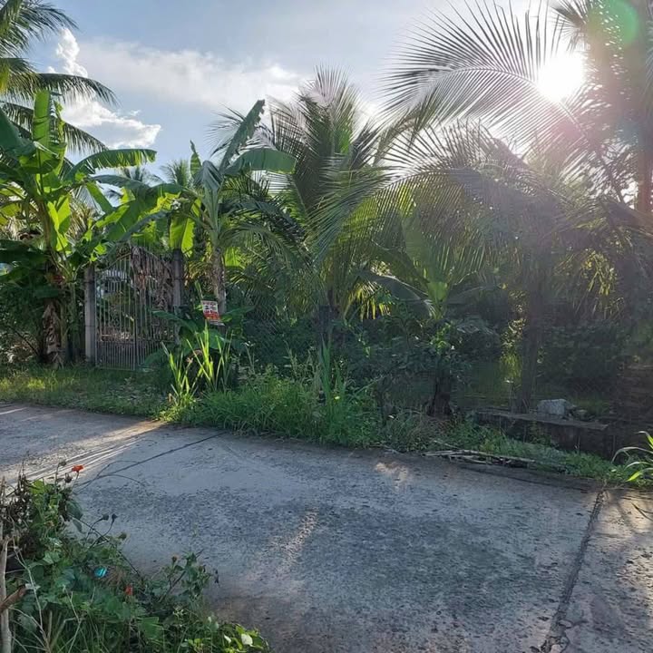 Đất vườn 1344m² xã Long An, Châu Thành, Tiền Giang - Giá chỉ 2.8 tỷ, phù hợp đầu tư!