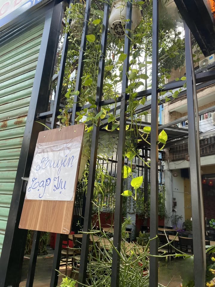 Nhà mặt tiền Phạm Ngũ Lão, Gò Vấp 168m² giá 45 triệu - Cho thuê ngay!