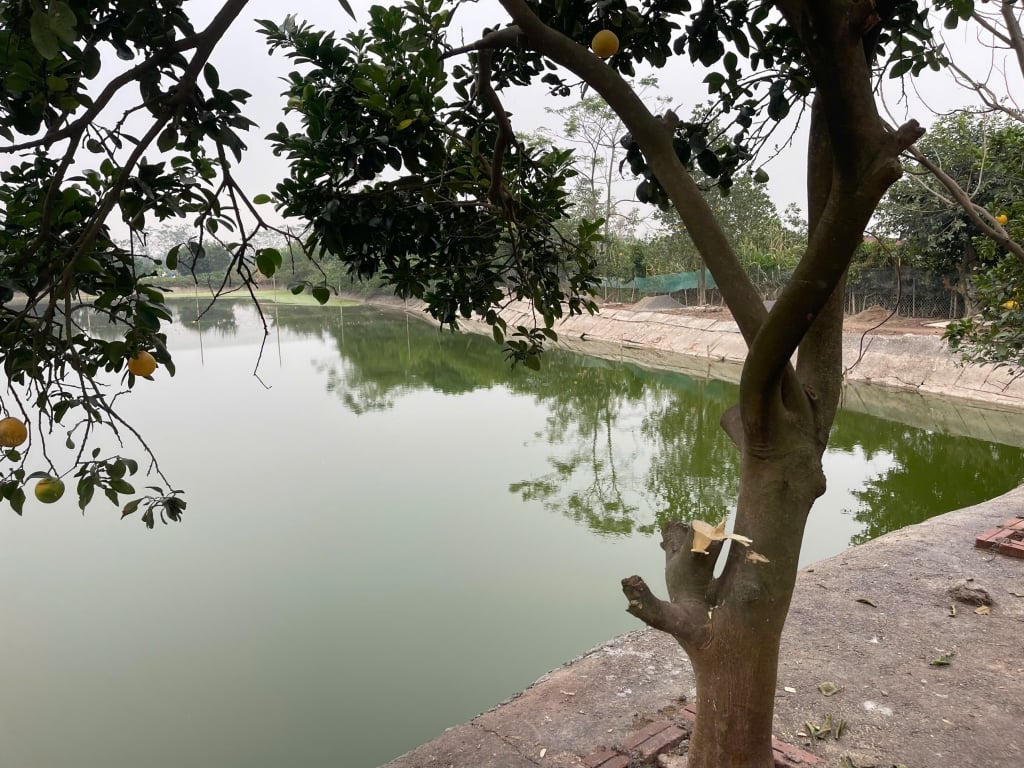 Đất trang trại 6.480m² tại Ứng Hòa - Tiềm năng đầu tư bền vững!