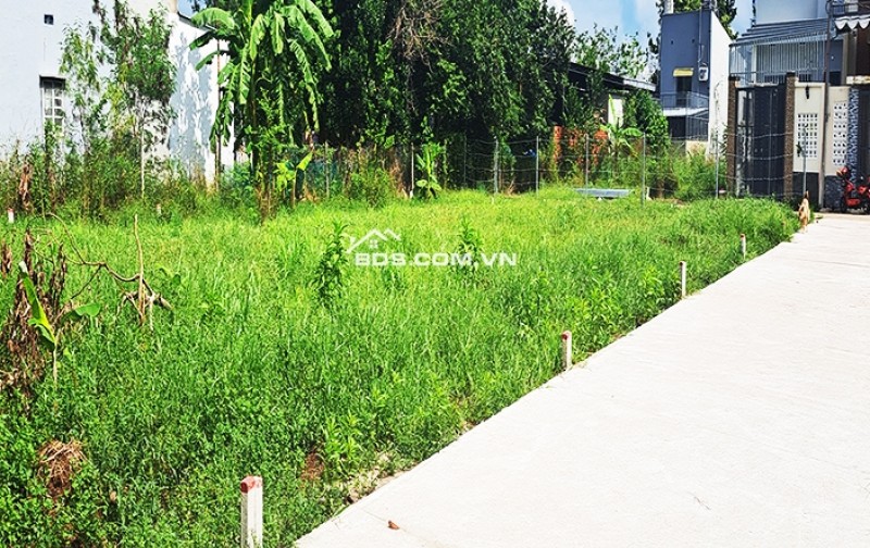 Đất thổ cư Bảo Vinh, Long Khánh 205m² giá chỉ 1.290 tỷ - Cơ hội không thể bỏ lỡ!