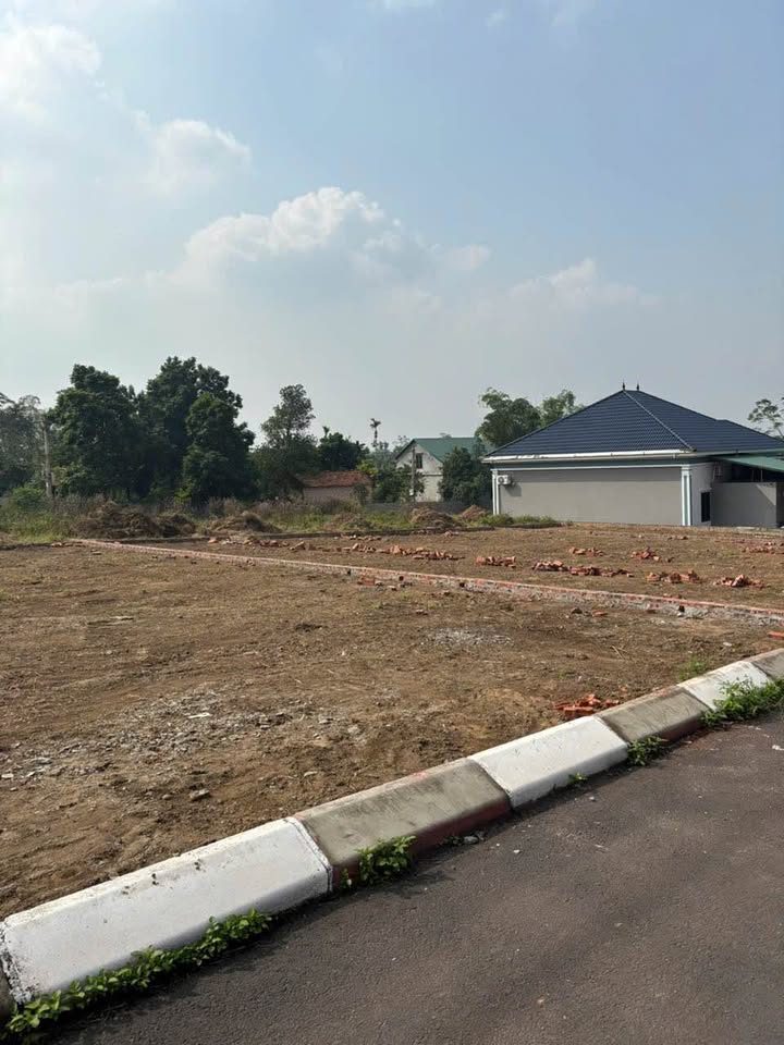 Đất Tân Thành (Cẩm Lĩnh) 256m² giá thỏa thuận - Mặt tiền rộng, sổ hồng chính chủ!