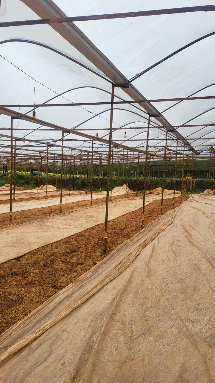 Đất nền đường Hồ Xuân Hương, Đà Lạt 76m² giá 850 triệu - Đầu tư lý tưởng!