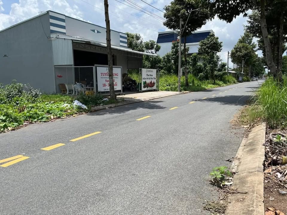 Đất nền tại Lấp Vò, Đồng Tháp 91.5m² giá chỉ 1 tỷ - Cơ hội đầu tư hấp dẫn!