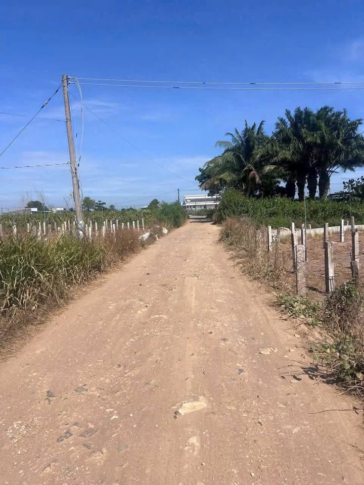 Đất vườn Hàm Cường 7253m² giá 1.6 tỷ - Đầu tư sinh lời ngay!