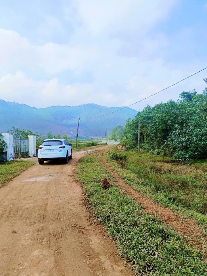 Đất thổ cư thôn Quyết Tiến, Thạch Xuân 1250m² giá 2 tỷ - Đầu tư sinh lời cao!