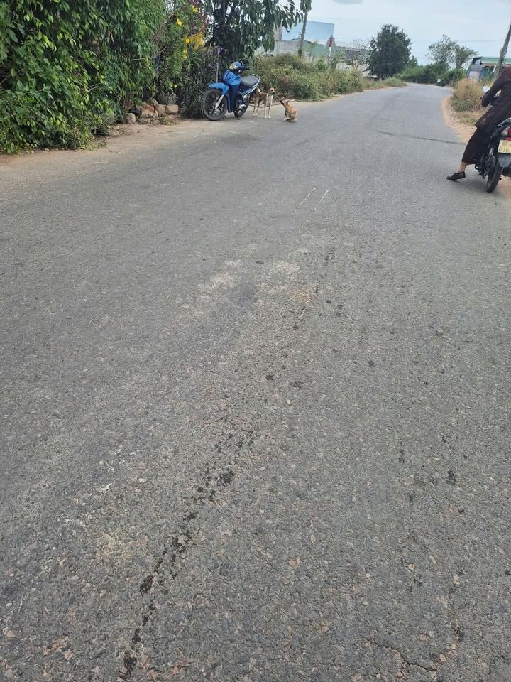 Đất nền Hàm Liêm - Bình Thuận 100m² giá chỉ 500 triệu - Đầu tư sinh lời!