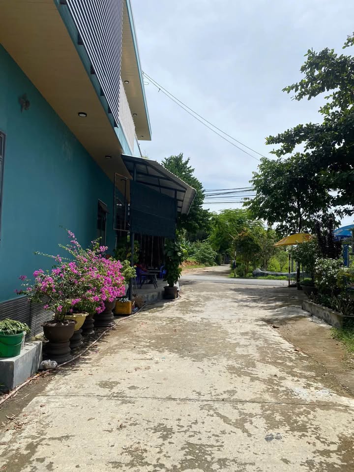 Đất nền Hòa Phước Đà Nẵng 120m² giá 1.5 tỷ - Sổ hồng chính chủ, không tranh chấp!