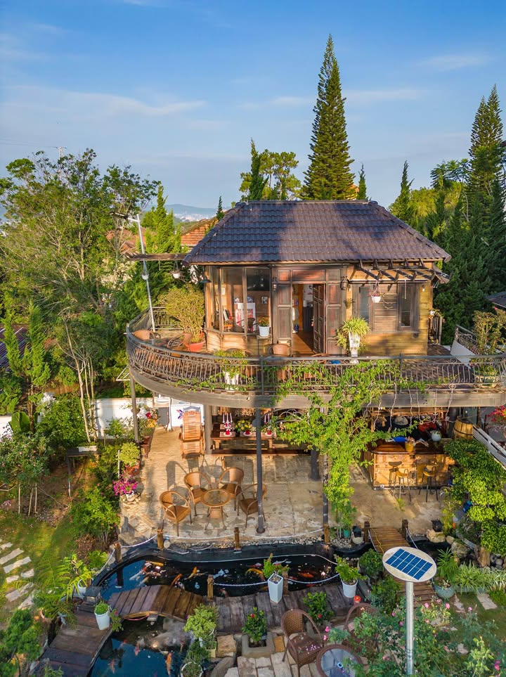 Villa sân vườn Đà Lạt 900m² giá 97 tỷ - View rừng thông tuyệt đẹp!