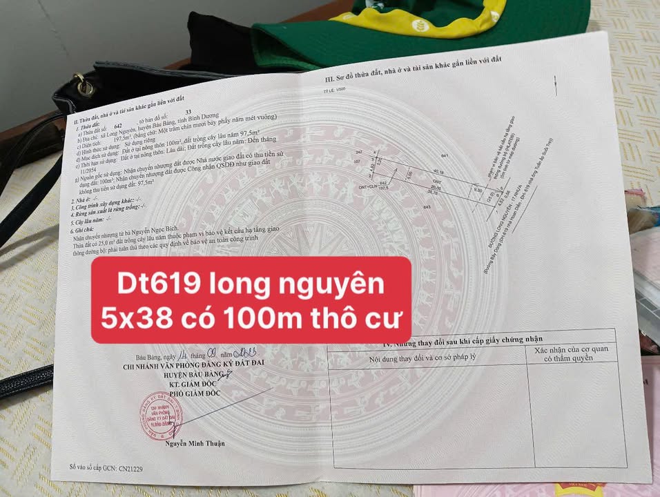 Đất nền 190m² tại Đường ĐT 619, Long Nguyên, Bàu Bàng - Giá chỉ 1.1 tỷ VND!