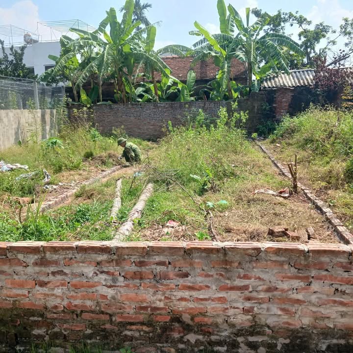 Đất thổ cư 63m² Phú Nam An, Chương Mỹ - Giá chỉ 2 tỷ, sổ đỏ chính chủ!