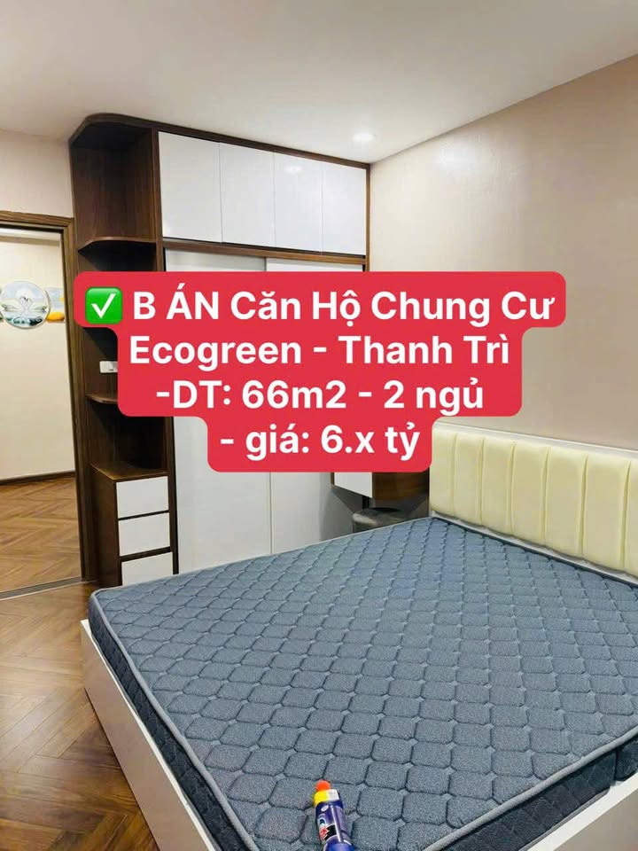 Căn hộ Chung cư Ecogreen Thanh Trì 66m² giá 6 tỷ - Không gian sống xanh mát!