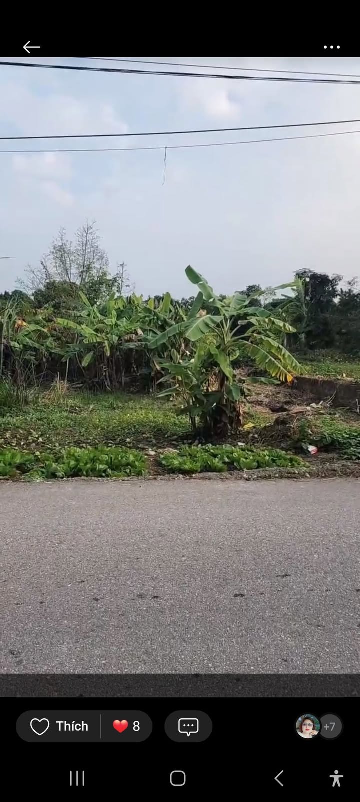 Đất đấu giá Nam Quất Phú Xuyên 89m² giá 2x triệu - View thoáng vĩnh viễn!