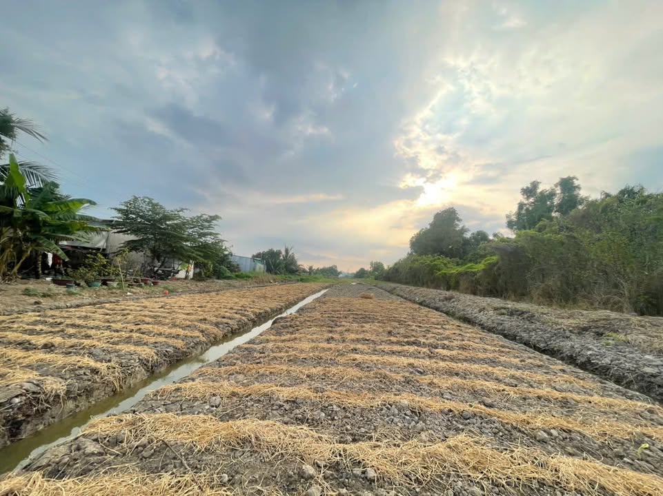 Đất thổ cư 5.170m² mặt tiền Quốc lộ 61C - Giá chỉ 11.37 tỷ VND