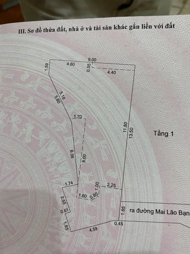 Nhà cấp 4 kiệt Mai Lão Bạng Đà Nẵng 102m² giá 4.33 tỷ - Diện tích khủng, nở hậu!