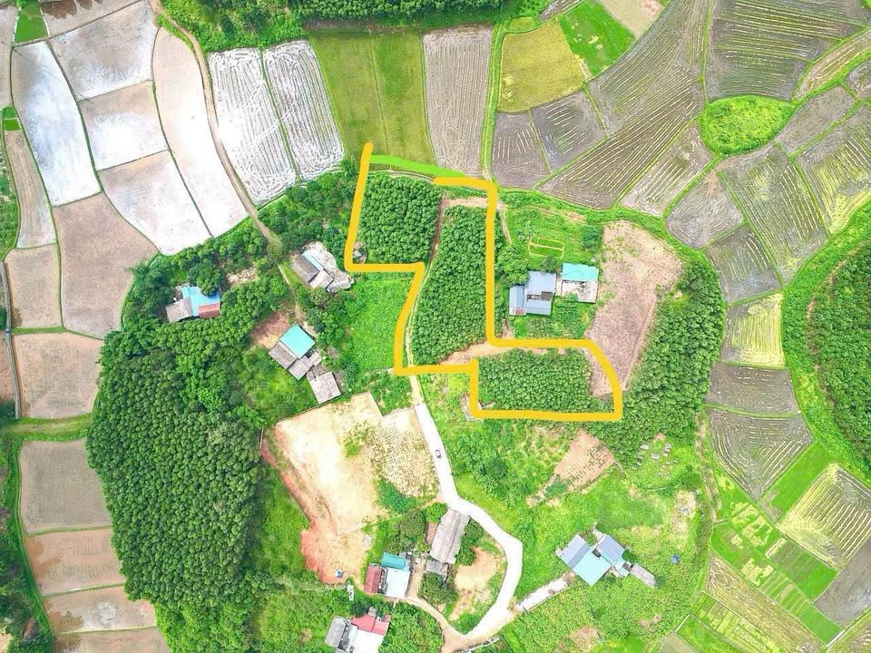 Đất thổ cư Linh Sơn Đồng Hỷ 3700m² giá 36xx triệu - Pháp lý rõ ràng, thương lượng tốt!