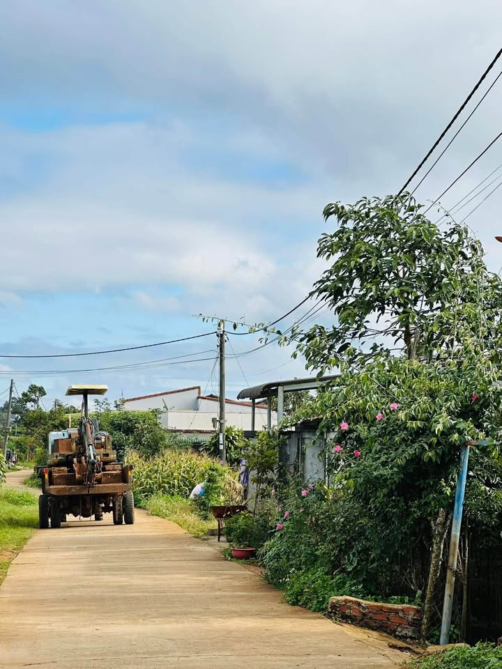 Đất nền thổ cư 480m² tại thôn Thuận Hòa, Đắk Mil - Giá chỉ 4.8 tỷ, cắt lỗ nhanh!