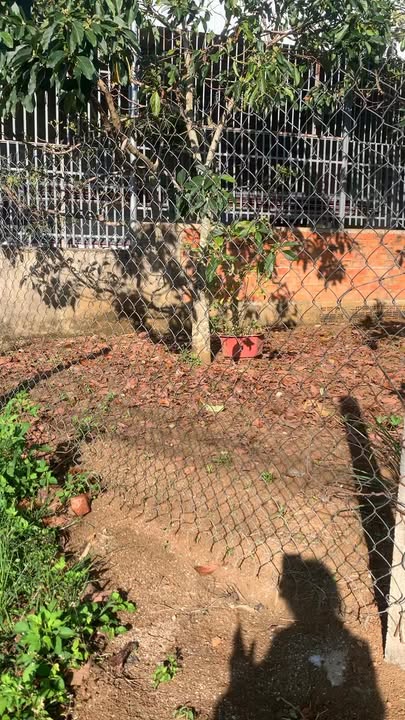 Đất nền 1 sào Lộc Phát Bảo Lộc 360m² giá 3.95 tỷ - Đường xe hơi thuận tiện!