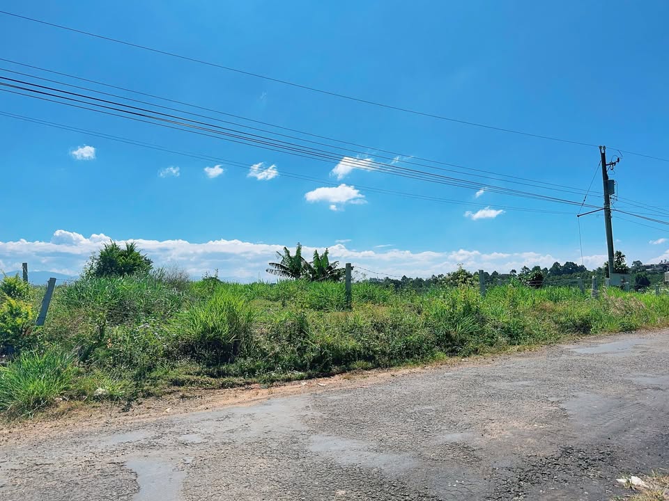 Đất nền 200m² Lộc Đức, Bảo Lâm giá 1.4 tỷ - Đối diện khu nghỉ dưỡng Cattus Garden!