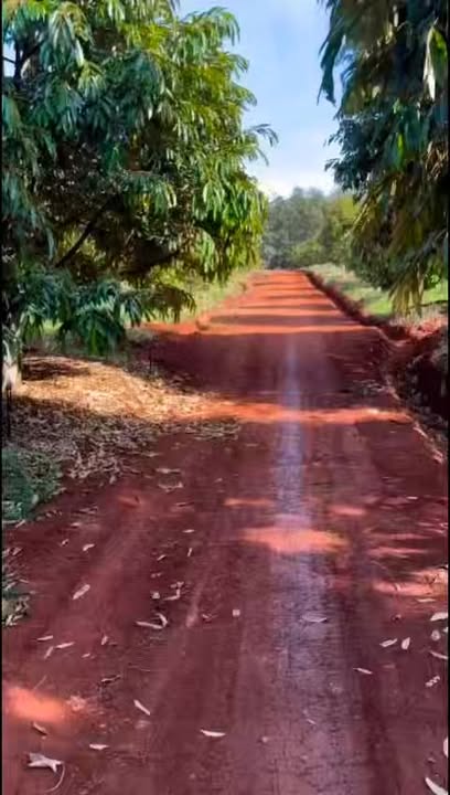 Đất vườn sầu riêng 4.7ha tại Long Bình, Phú Riềng - Giá chỉ 15 tỷ!