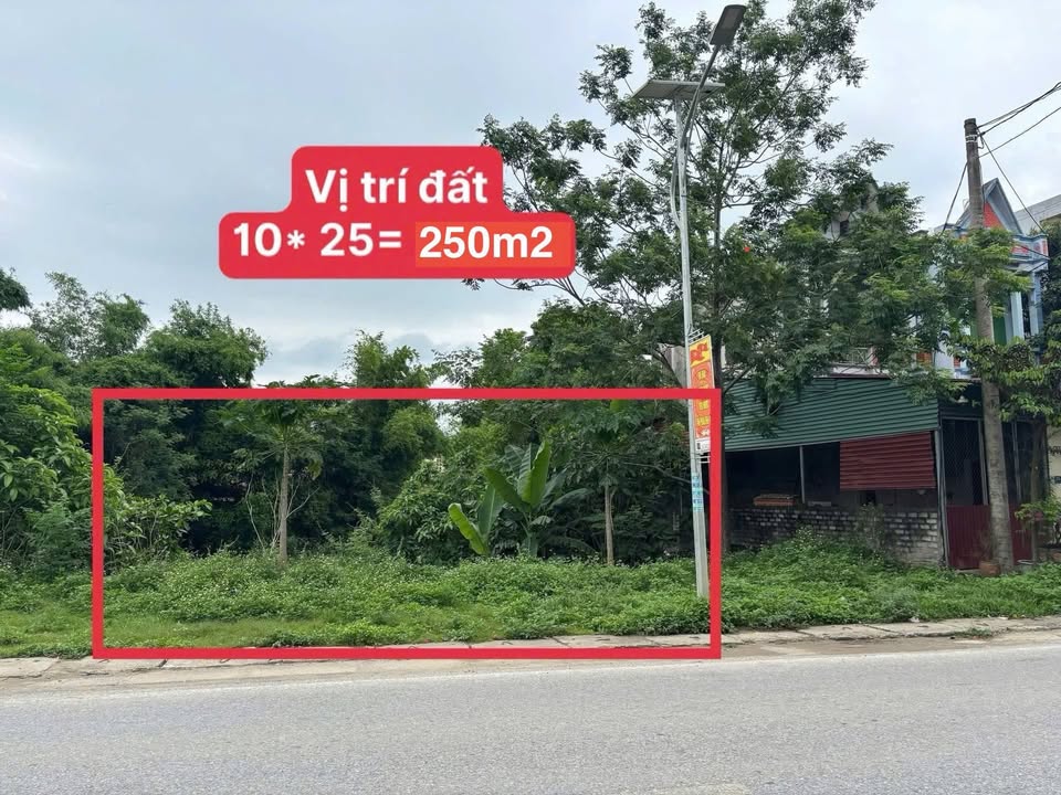 Đất nền mặt QL45 Định Bình, Yên Định 250m² giá 4.1 tỷ - Cơ hội đầu tư sinh lời!