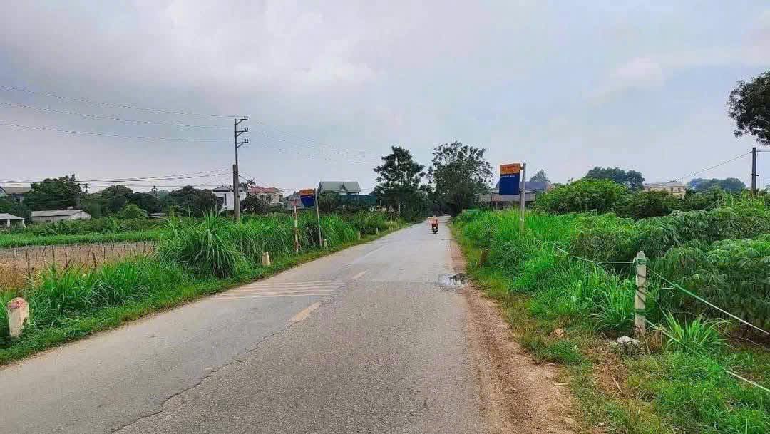 Đất nền Thụy An, Ba Vì 100m² giá 1 tỷ - Mặt đường kinh doanh lý tưởng!