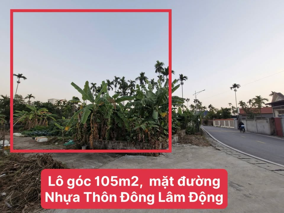Đất thổ cư Lô góc Thôn Đông Lâm Động 104,6m² giá 2 tỷ - Cơ hội đầu tư tuyệt vời!