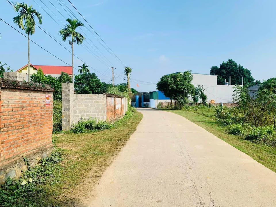 Đất vườn Hòa Phong - Hòa Vang 350m² giá 1 tỷ - Tiềm năng đầu tư lớn!