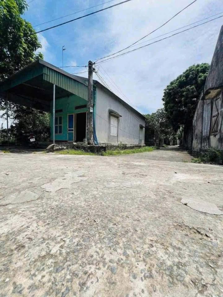 Nhà đất Thanh Lạc, Nho Quan 104m² giá 690 triệu - Sẵn sàng vào ở ngay!