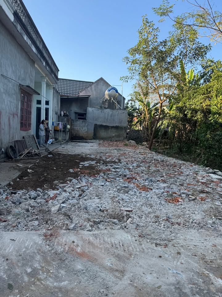 Đất nền Yên Trường 126m² giá chỉ từ 5xx triệu - Cơ hội đầu tư tuyệt vời!