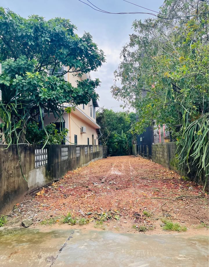 Đất Mặt Tiền Thu Bồn, Thủy Xuân, TP Huế 174m² giá 2.75 tỷ - Cơ hội đầu tư hấp dẫn!