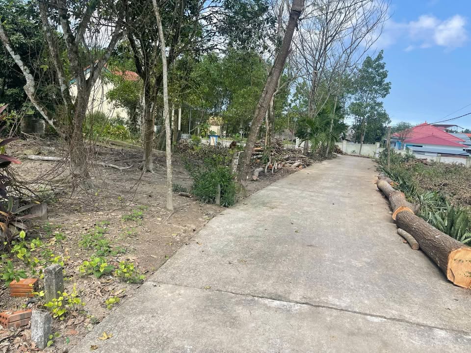 Đất nền Phong Điền 163,5m² giá chỉ 400 triệu - Cơ hội đầu tư hấp dẫn!