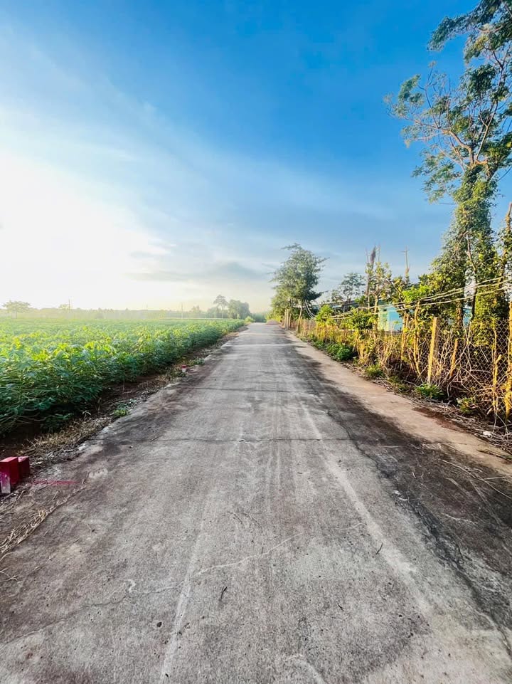 Đất nền Cầu Ri Sông Xoài 961m² giá chỉ 8xx triệu - Cơ hội đầu tư hiếm có!