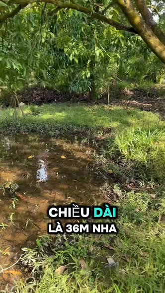 Đất nền xã Mỹ Thọ, Đồng Tháp 131m² - Giá thỏa thuận, pháp lý rõ ràng!