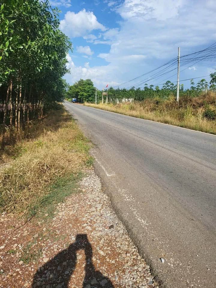 Đất nền xã An Long, huyện Phú Giáo, 8083m² giá 8.6 tỷ - Cơ hội đầu tư hấp dẫn!