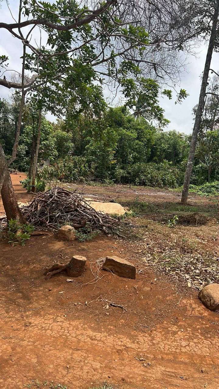 Đất thổ cư chính chủ tại xã Ea Tiêu, Cư Kuin - Diện tích 150m², giá thỏa thuận hấp dẫn!