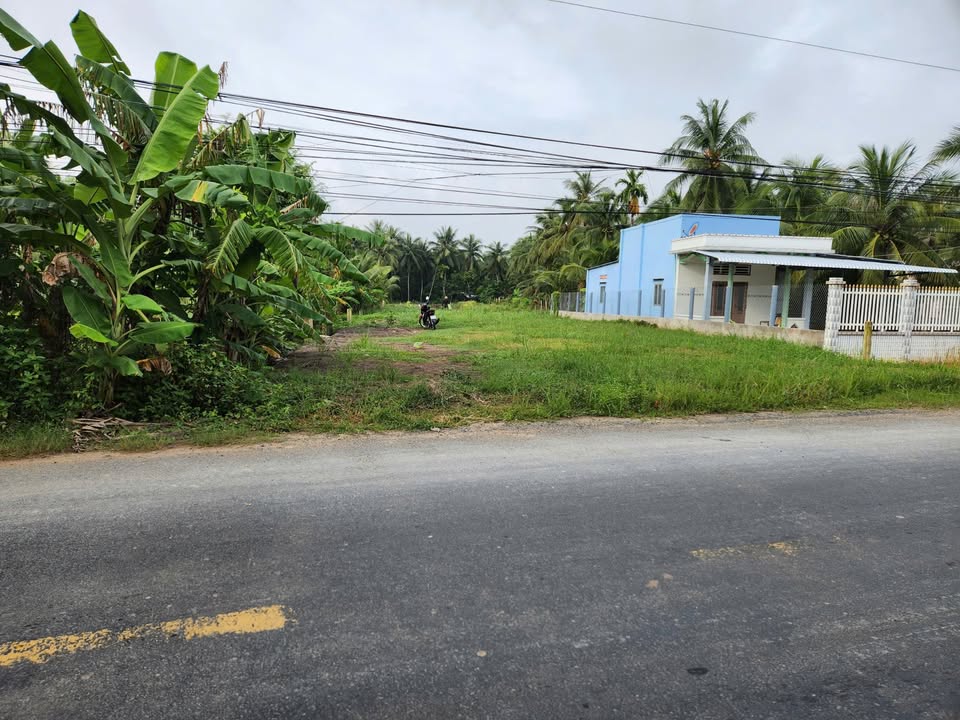 Đất nền Vĩnh Hựu Gò Công Tây 2000m² giá 3.7 tỷ - Tiềm năng đầu tư lớn!