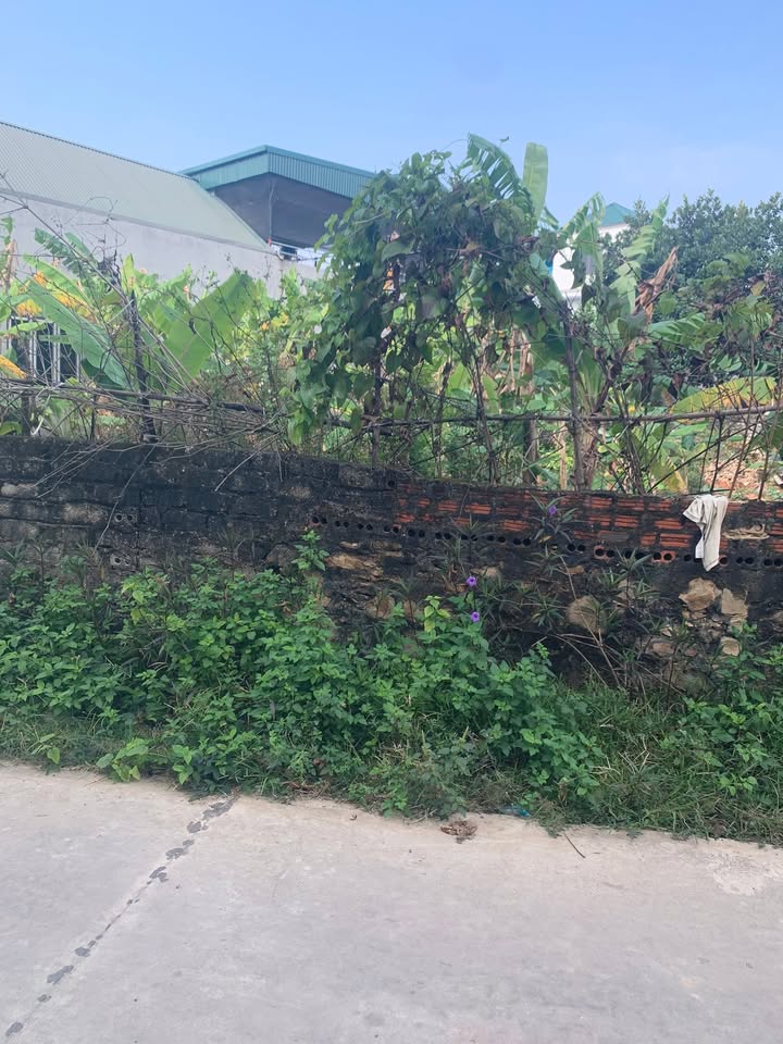 Đất thổ cư Lục Nam 340m² giá 4 tỷ - Đường thông, 2 mặt tiền