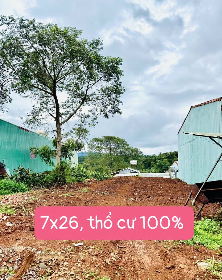 Đất nền Măng Đen 182m² giá thỏa thuận - View rừng nguyên sinh tuyệt đẹp!