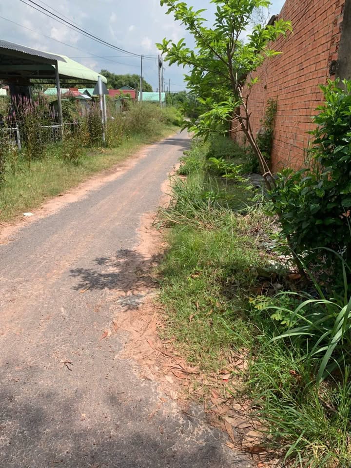 Đất nền Hảo Đước, Tây Ninh 264m² giá chỉ 200 triệu - Cơ hội đầu tư hấp dẫn!