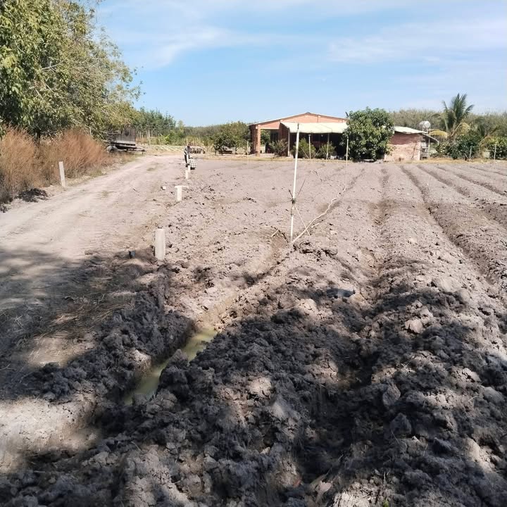 Đất thổ cư Tân Phong, Tân Biên 150m² giá chỉ 130 triệu - Đầu tư sinh lời ngay!