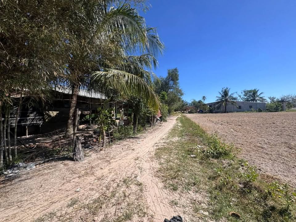 Đất nền 2400m² tại Đồng Khởi, Châu Thành, Tây Ninh - Đầu tư sinh lợi ngay!