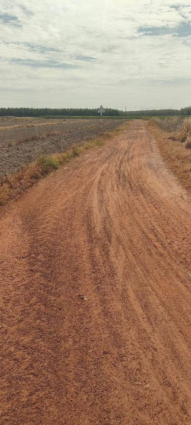 Đất nền Tân Hòa, Tân Châu, Tây Ninh 10.000m² giá 1 tỷ - Đường lớn, cơ hội đầu tư hấp dẫn!