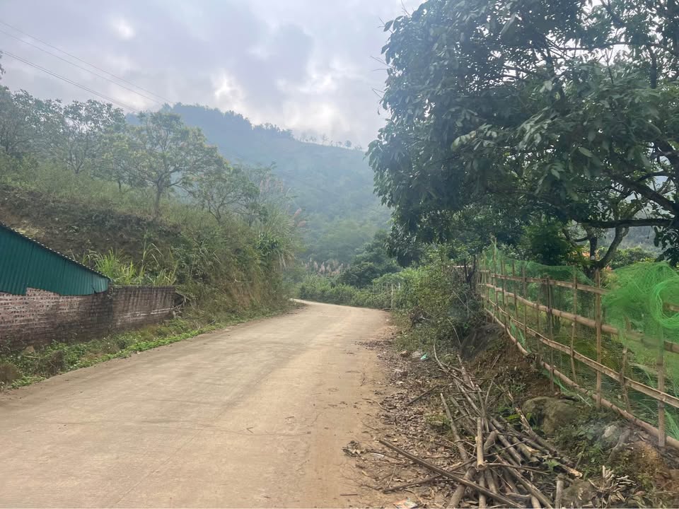 Đất nền Cao Sơn Lương Sơn 1300m² giá 1.3 tỷ - Cơ hội đầu tư tuyệt vời!