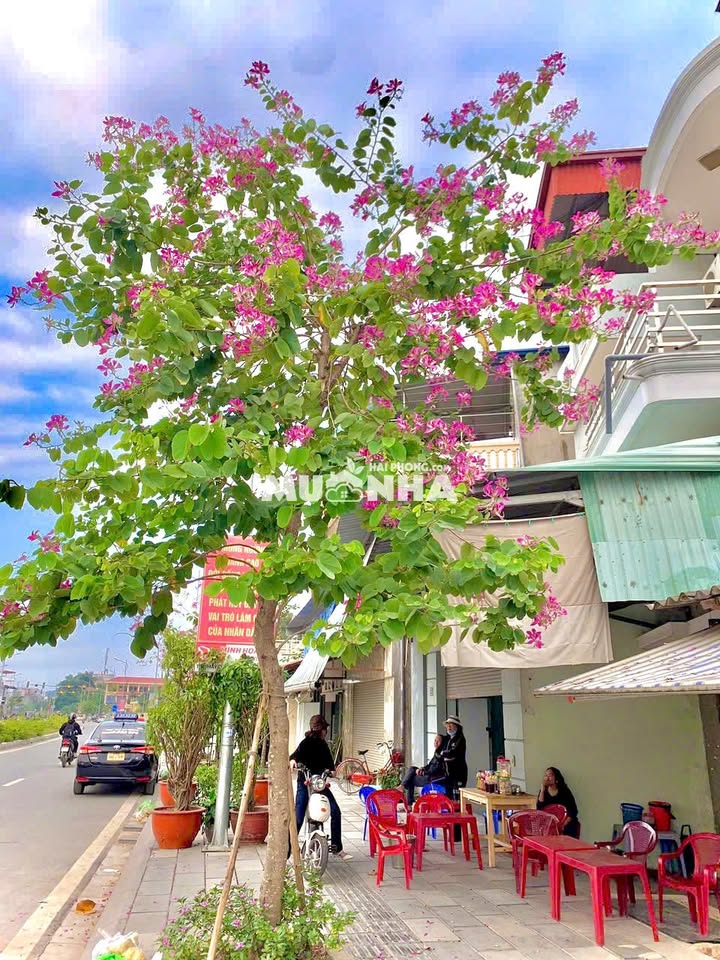 Nhà mặt phố Lê Quang Đạo, Ngô Quyền, 65.9m² - Vị trí kinh doanh đắc địa!