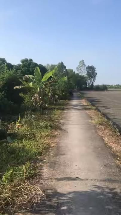 Đất nền Trường Thắng, Thới Lai, diện tích 2000m² giá 700 triệu - Cơ hội đầu tư sinh lời!