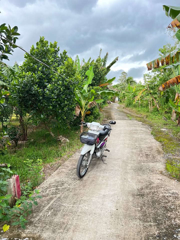 Đất nền Hưng Phú, Cái Răng, Cần Thơ 150.5m² giá 549 triệu - Đầu tư sinh lời hấp dẫn!