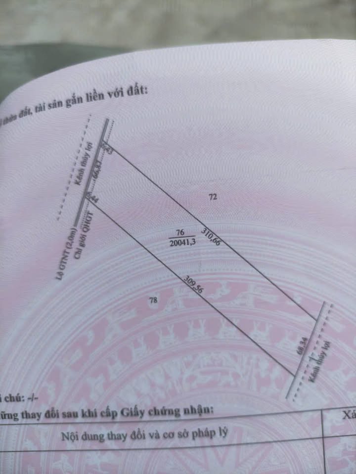 Đất nông nghiệp 20.000m² tại Thới Lai, Cần Thơ - Đầu tư sinh lời hấp dẫn!