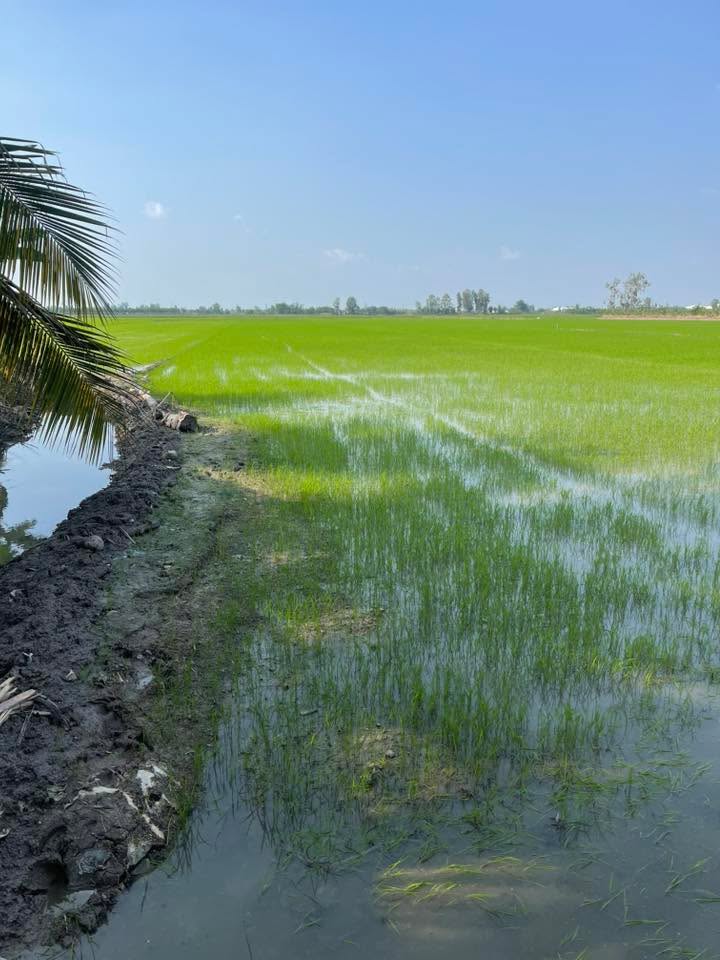 Đất nền Cần Thơ 3700m² giá 1.4 tỷ - Pháp lý rõ ràng, tiện ích đầy đủ!