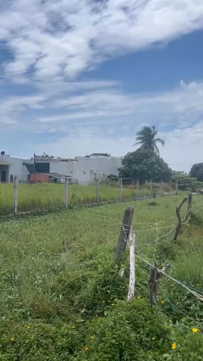 Đất thổ cư Tân Phước, La Gi 274.8m² giá 1.6 tỷ - Đầu tư lý tưởng!